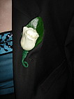 dsc05126.jpg